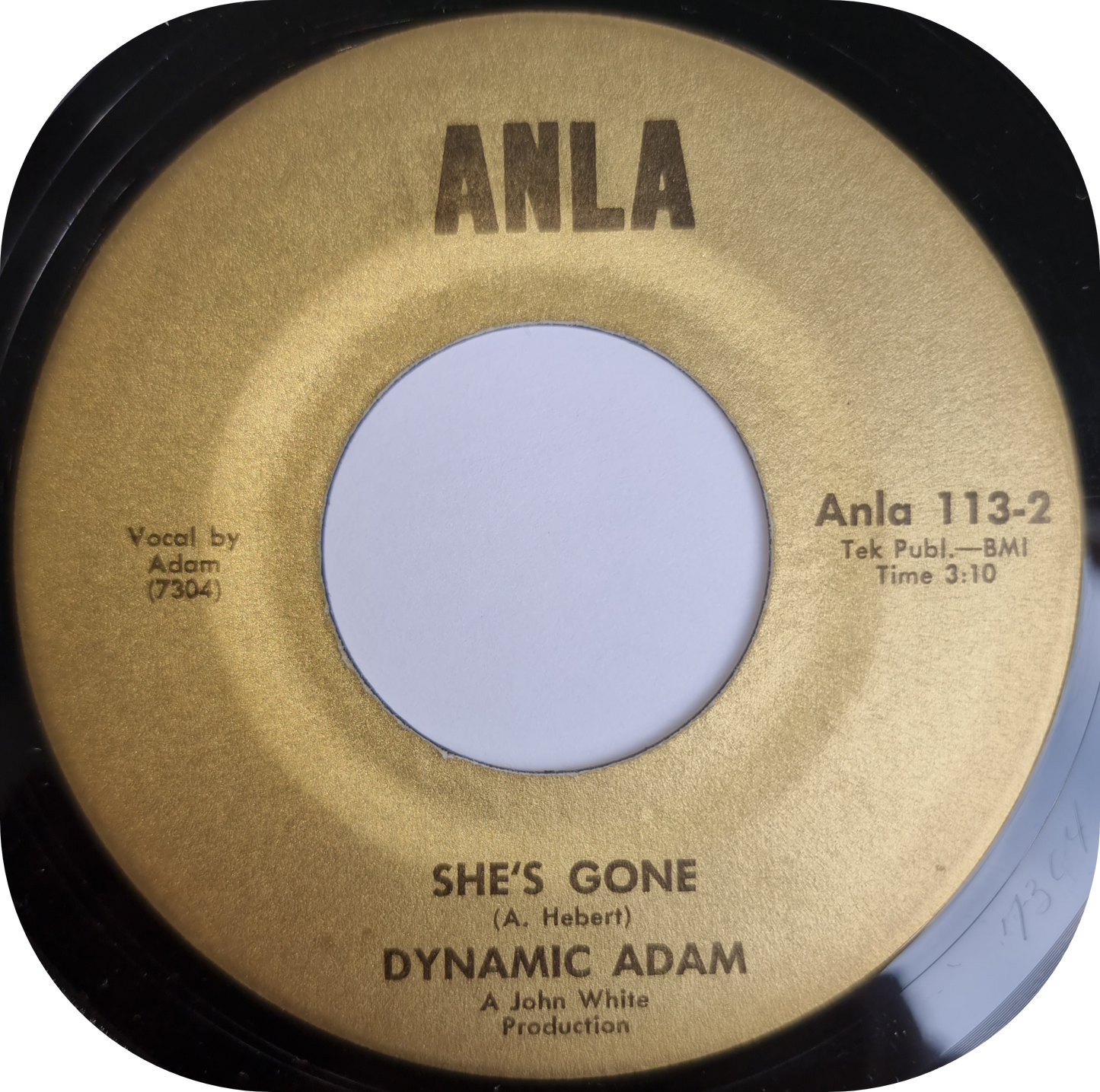 Dynamic Adam - Forgive Me - Anla