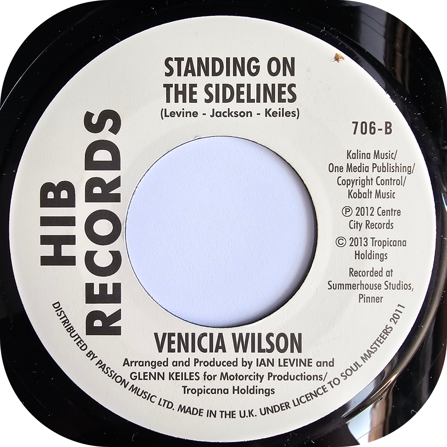 Venicia Wilson - Worth Every Drop Of Rain - Hib