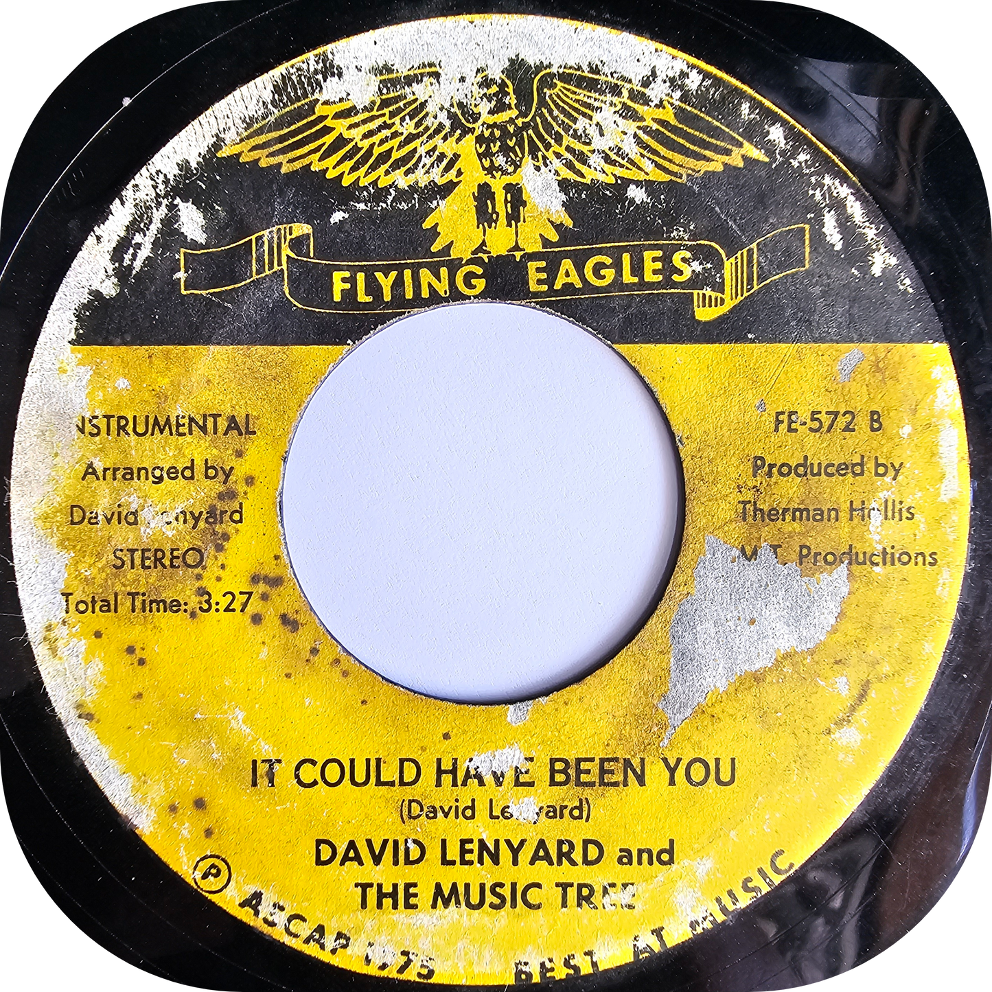 David Lenyard - It Could Have Been You - Flying Eagle