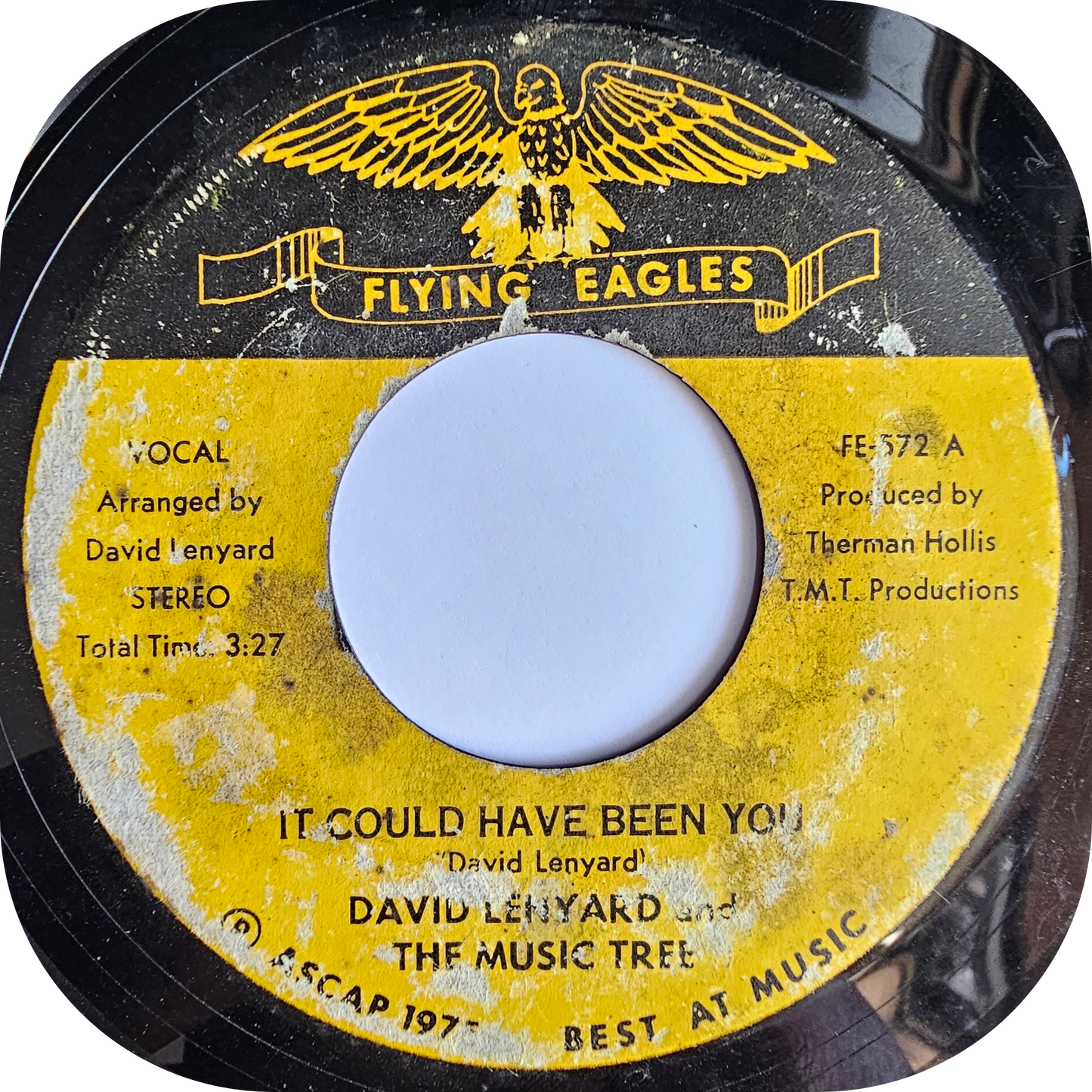 David Lenyard - It Could Have Been You - Flying Eagle