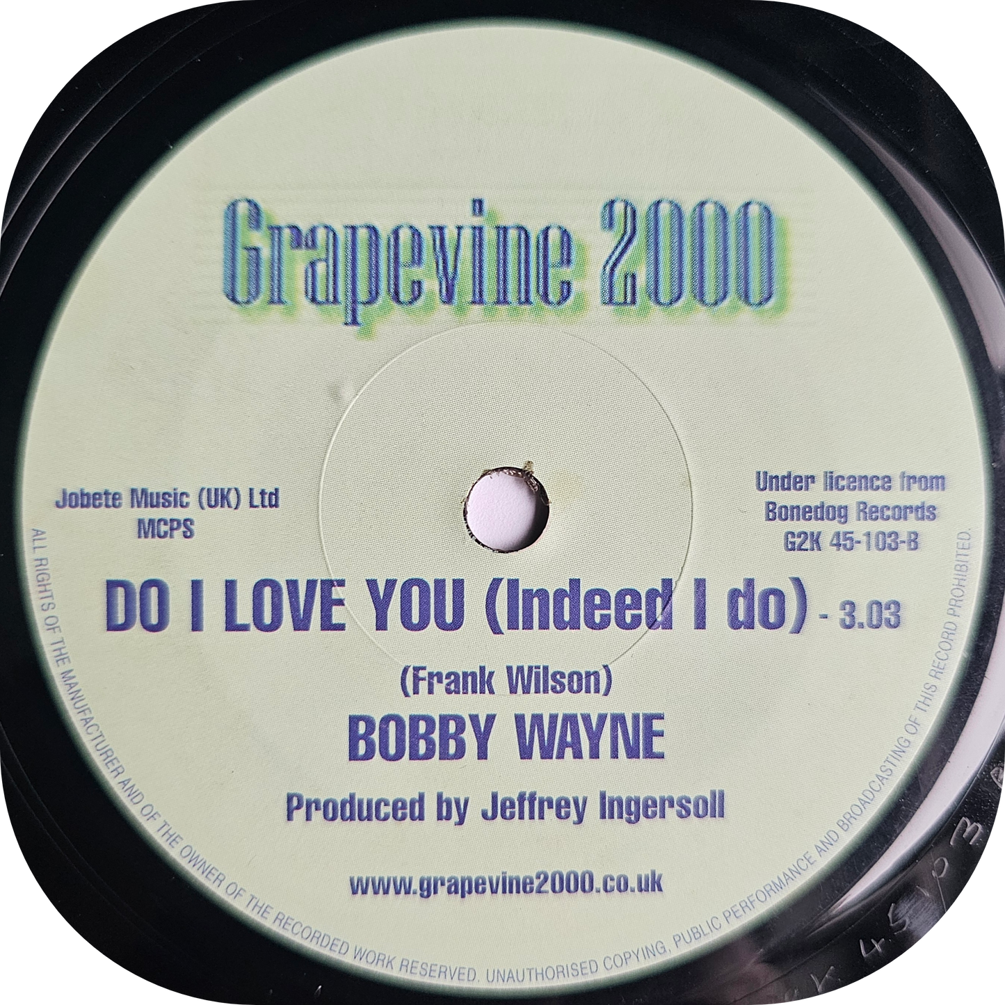 Bobby Wayne - Long Hard Road - Grapevine 2000