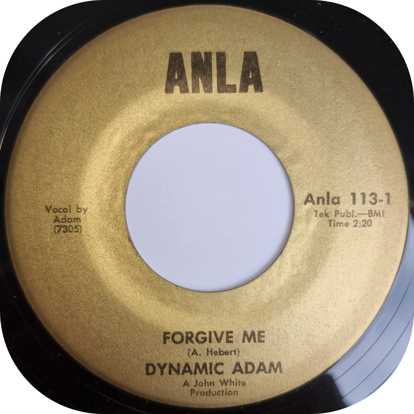 Dynamic Adam - Forgive Me - Anla