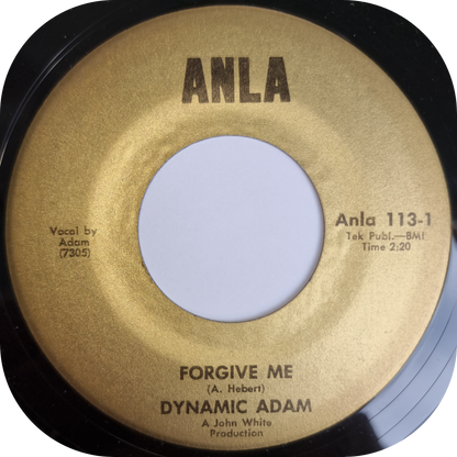 Dynamic Adam - Forgive Me - Anla