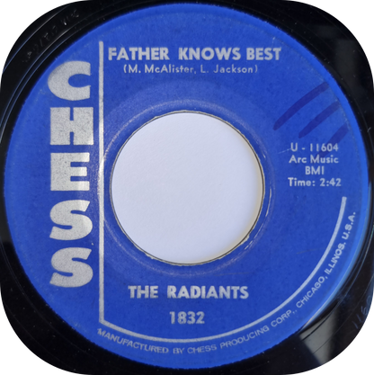 Radiants, The - One Day I'll Show You - Chess