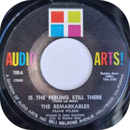 Remarkables, The - Easily Mislead - Audio Arts