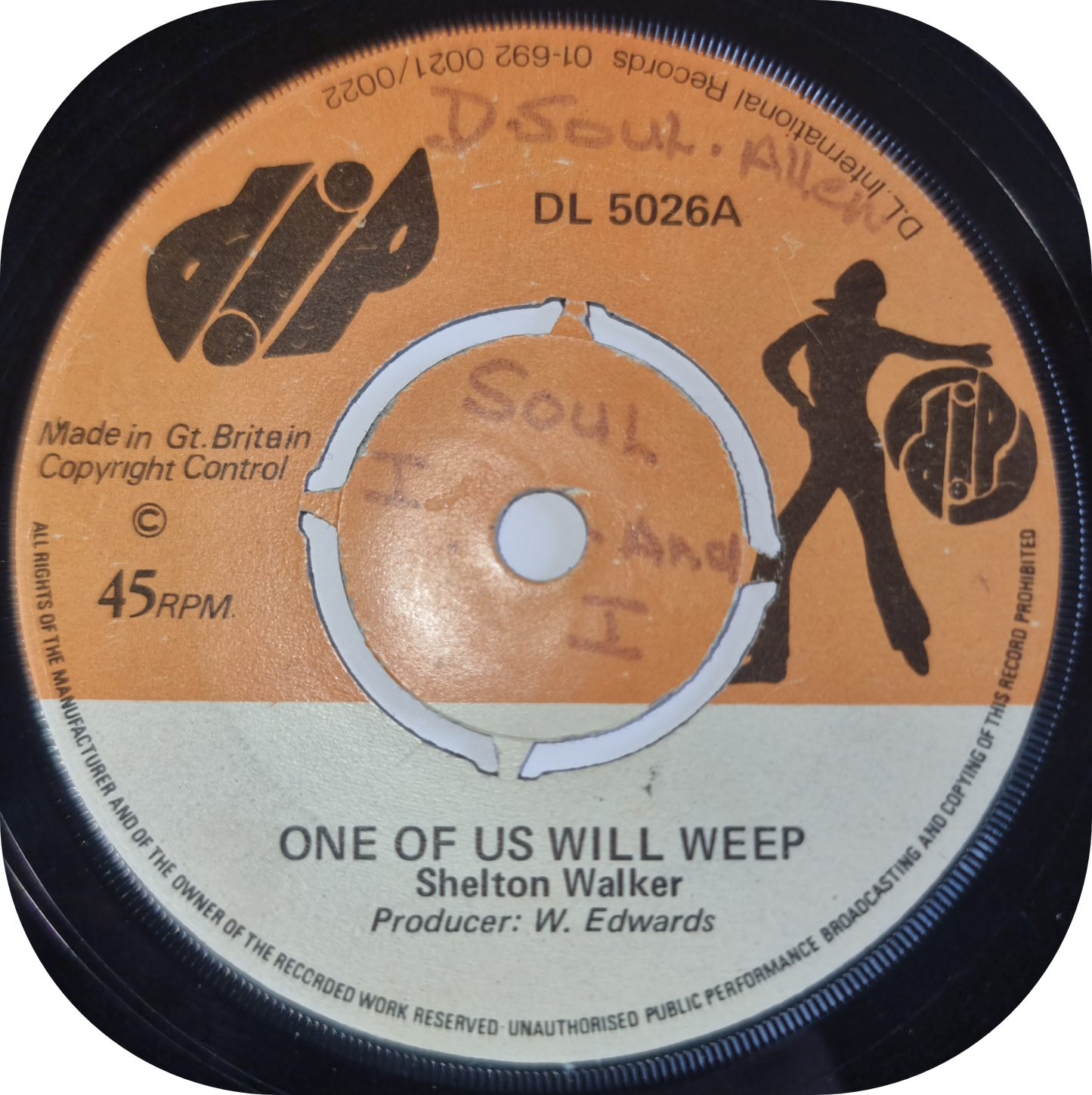 Shelton Walker - One Of Us Will Weep - Dip