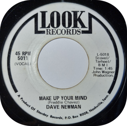 Dave Newman - Make Up Your Mind - Look