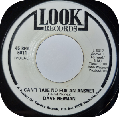 Dave Newman - Make Up Your Mind - Look