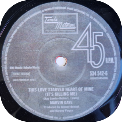 Marvin Gaye - This Love Starved Heart - Tamla Motown