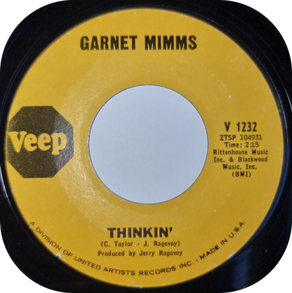 Garnet Mimms - It's Been Such A Long Way Home - Veep