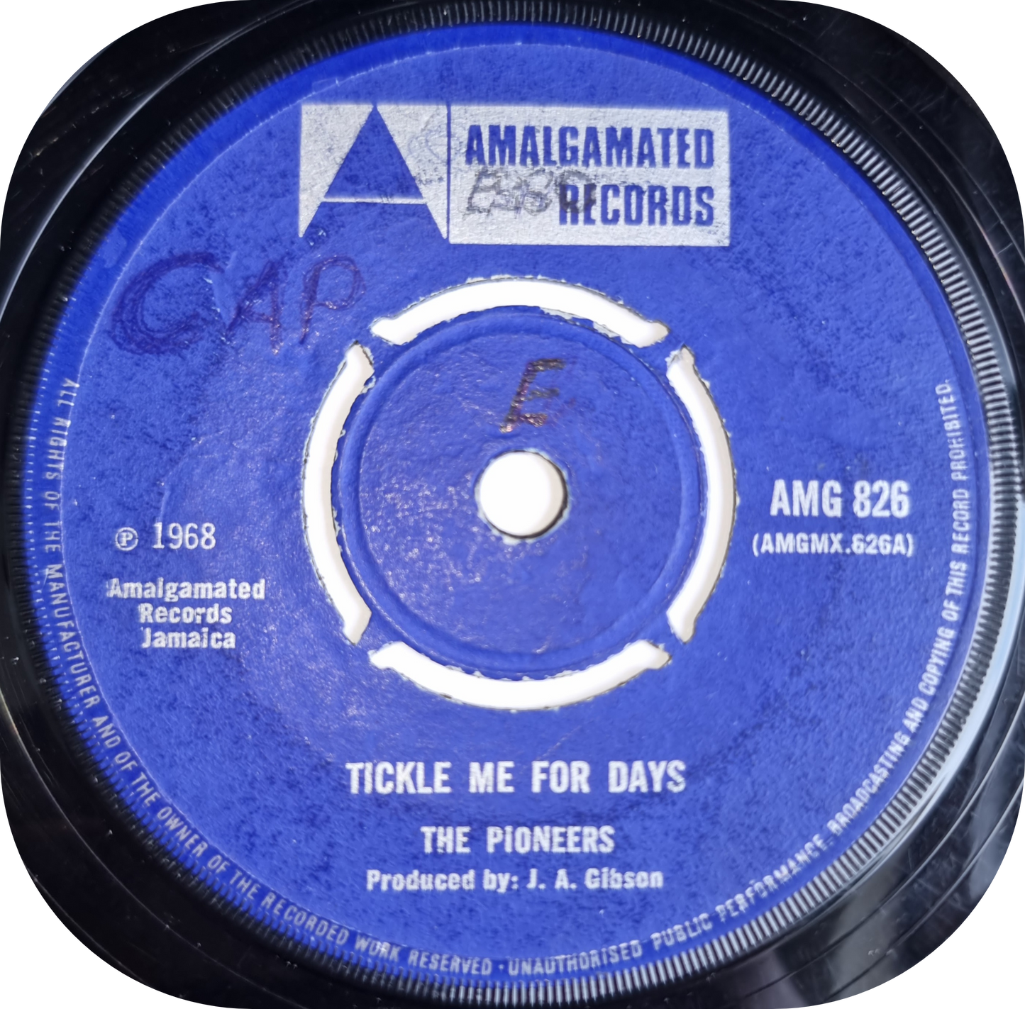 Pioneers, The - Tickle Me For Days - Amalgamated