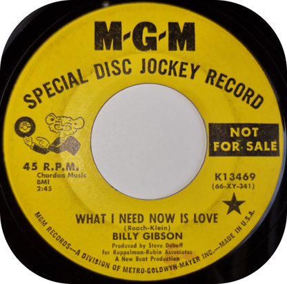Billy Gibson - You Got It, I Want It - MGM DEMO