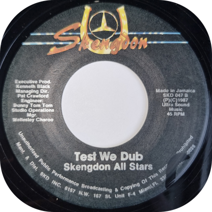 Al Campbell - Them Can't Test We - Skengdon