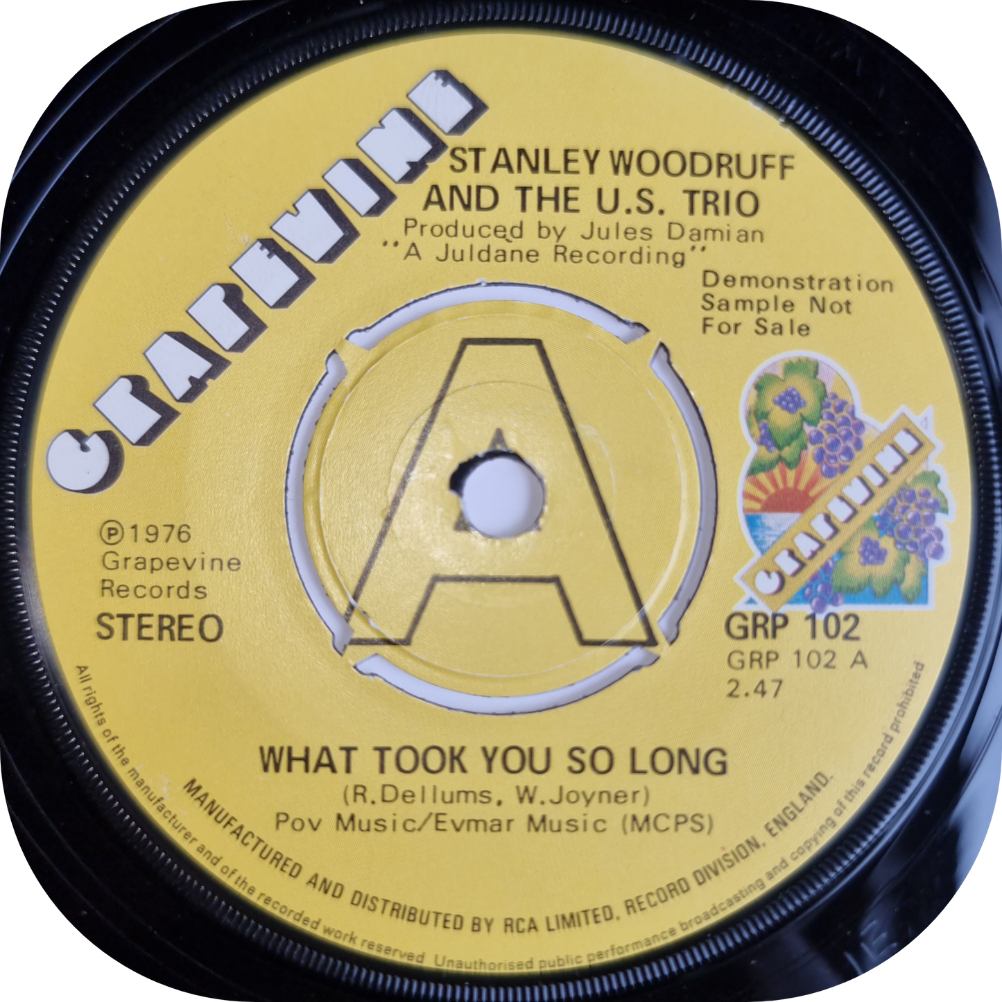 Stanley Woodruff - What Took You So Long - Grapevine DEMO