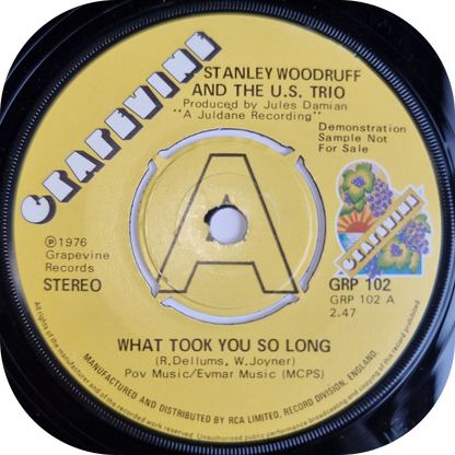 Stanley Woodruff - What Took You So Long - Grapevine DEMO