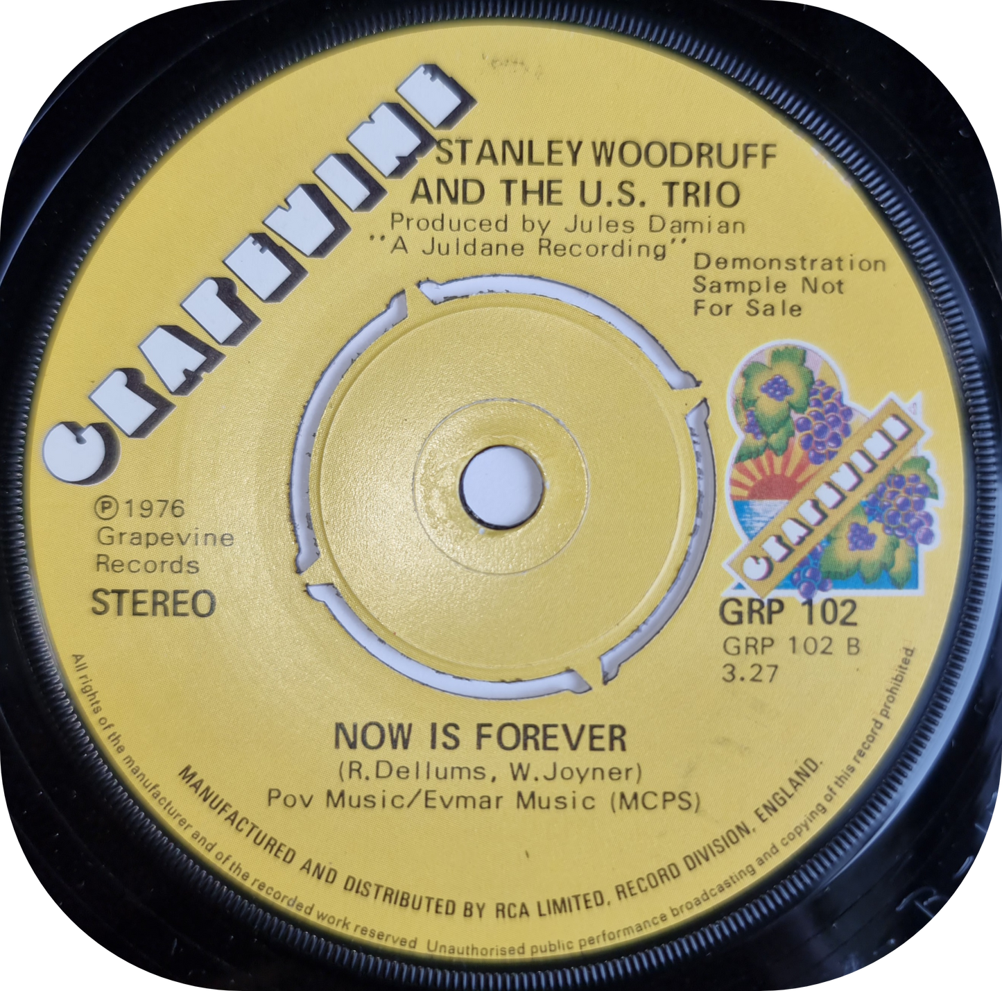 Stanley Woodruff - What Took You So Long - Grapevine DEMO