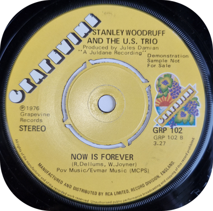 Stanley Woodruff - What Took You So Long - Grapevine DEMO