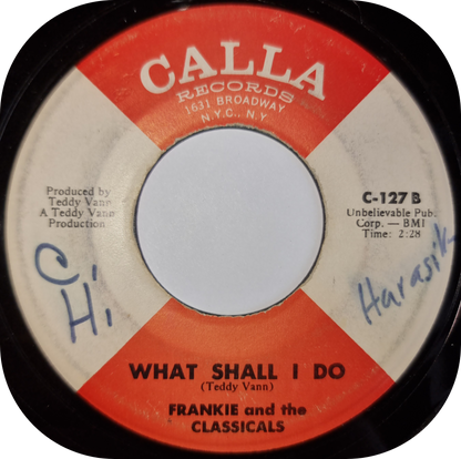 Frankie And The Classicals - What Shall I Do - Calla
