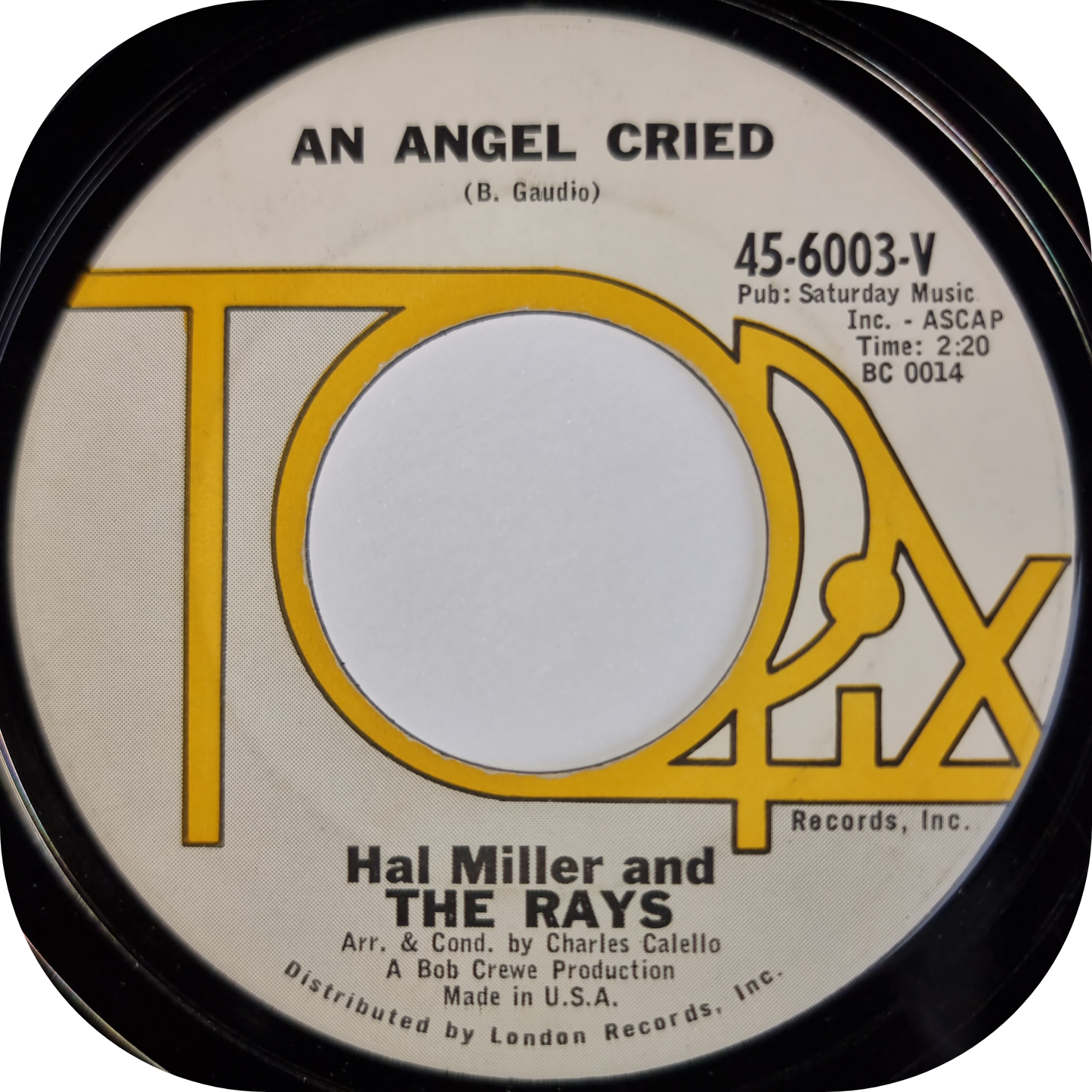 Hal Miller - An Angel Cried - Topix
