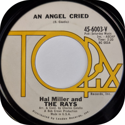 Hal Miller - An Angel Cried - Topix