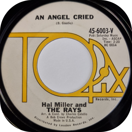 Hal Miller - An Angel Cried - Topix