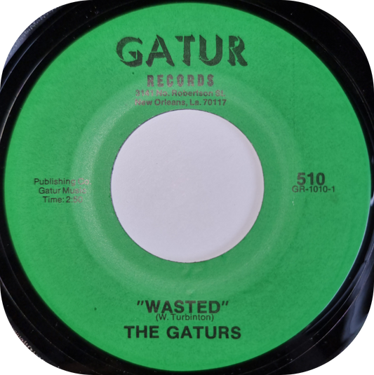 Gaturs, The - Wasted - Gatur