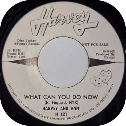 Harvey & Ann - What Can You Do Now - Harvey DEMO