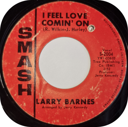 Larry Barnes - Rags Is Rags - Smash
