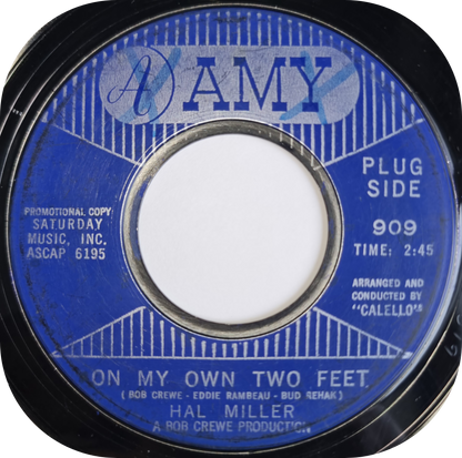 Hal Miller - On My Own Two Feet - Amy DEMO