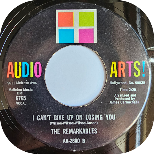 The Remarkables - I Can't Give Up On Losing Your Love - Audio Arts