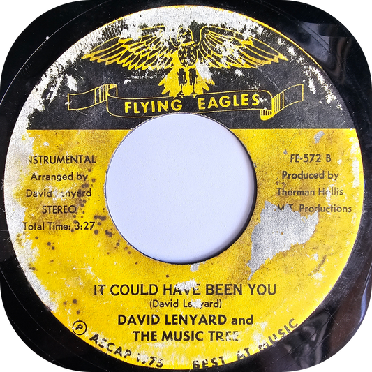 David Lenyard - It Could Have Been You - Flying Eagle
