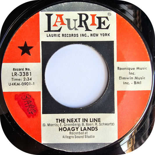 Hoagy Lands - The Next In Line - Laurie