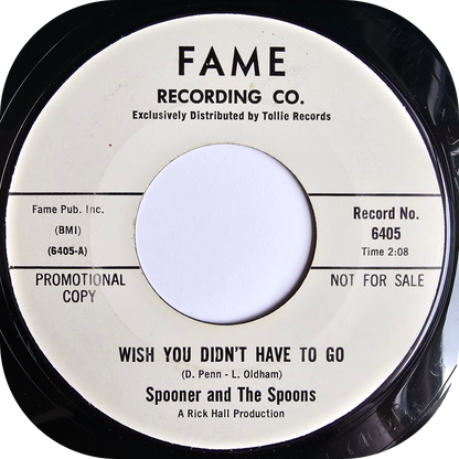 Spooner and The Spoons - Wish You Didn't Have To Go - Fame DEMO