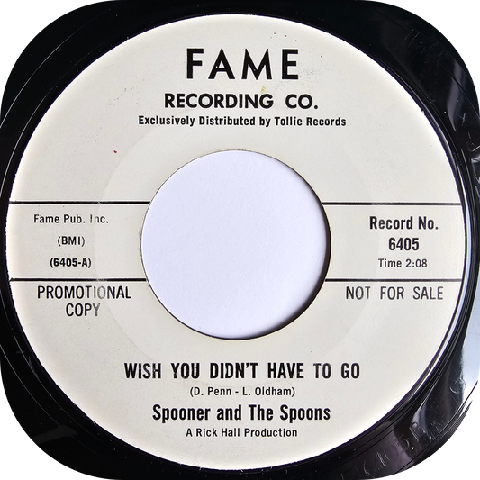 Spooner and The Spoons - Wish You Didn't Have To Go - Fame DEMO