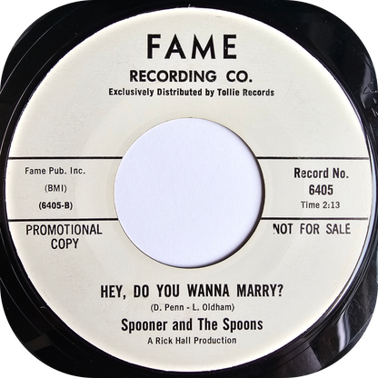 Spooner and The Spoons - Wish You Didn't Have To Go - Fame DEMO