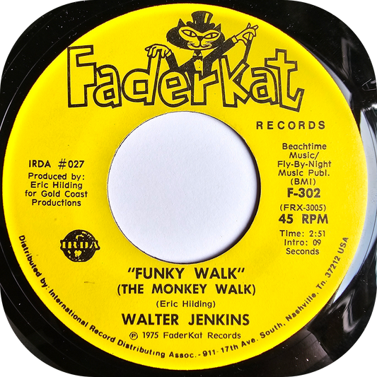 Walter Jenkins - Back In My Life - Fader Kat