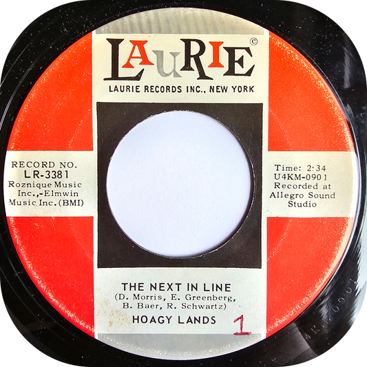 Hoagy Lands - The Next In Line - Laurie