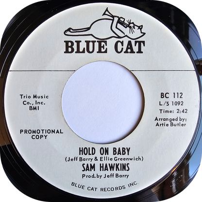 Sam Hawkins - Hold On Baby - Blue Cat DEMO