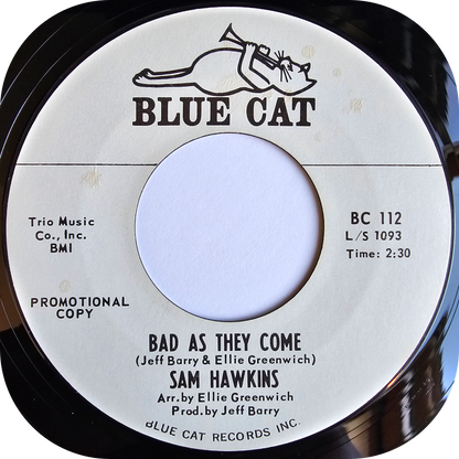 Sam Hawkins - Hold On Baby - Blue Cat DEMO