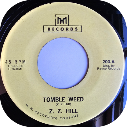 ZZ Hill - You Were Wrong - MH