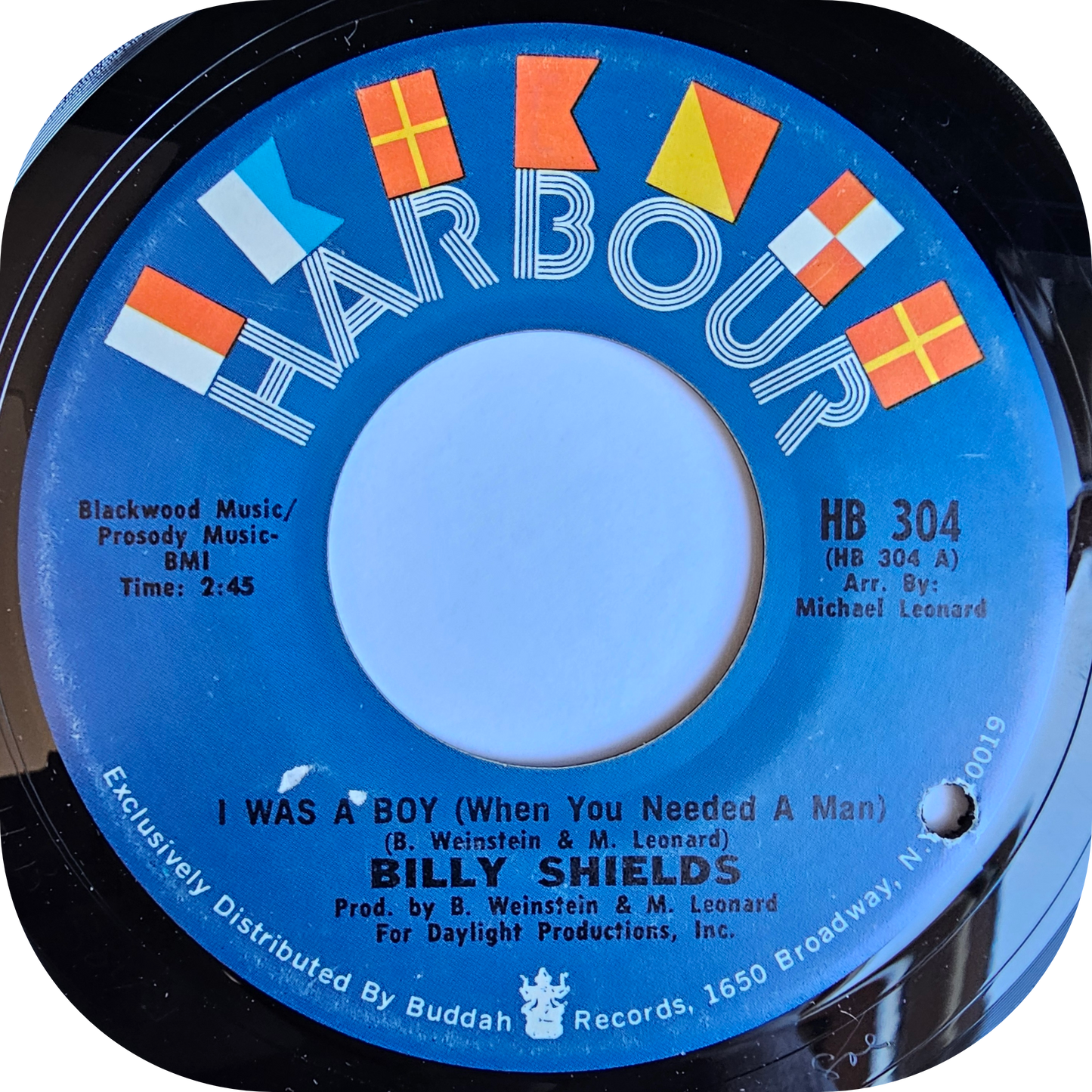 Billy Shields - I Was A Boy - Harbour