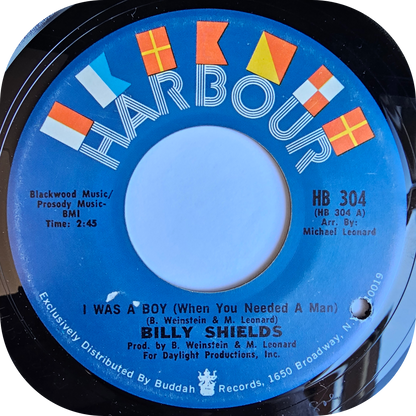 Billy Shields - I Was A Boy - Harbour