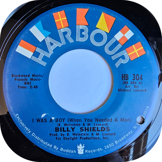 Billy Shields - I Was A Boy - Harbour