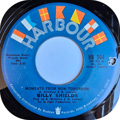 Billy Shields - I Was A Boy - Harbour