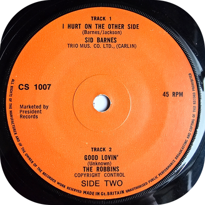 Sidney Barnes - I Hurt On The Other Side - Charly