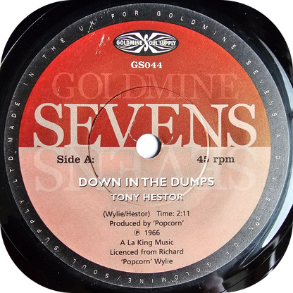 Tony Hestor - Down In The Dumps - Goldmine Sevens