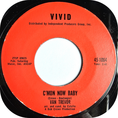 Van Trevor - A Fling Of The Past - Vivid