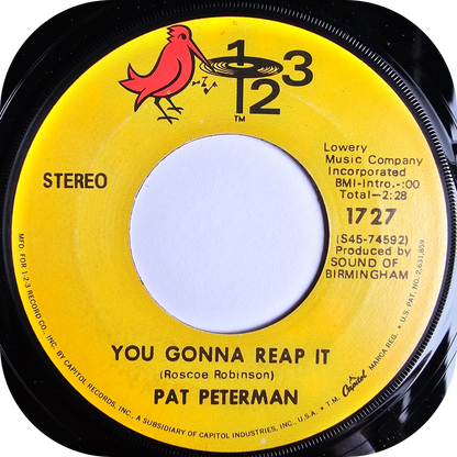 Pat Peterman - Like The Way You Do Your Thing - 123