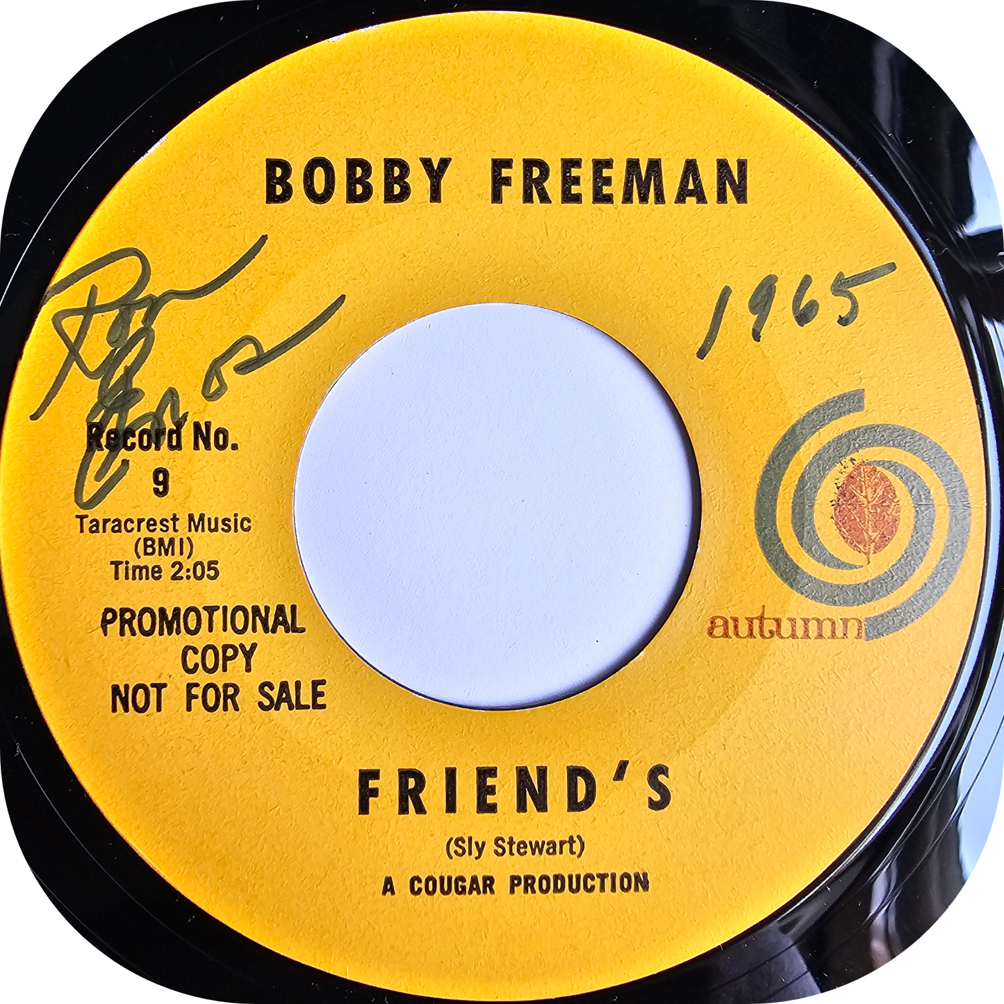 Bobby Freeman - I'll Never Fall In Love Again - Autumn DEMO