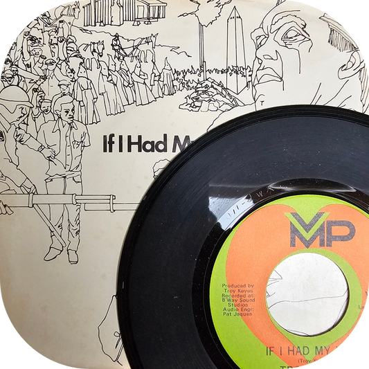 Troy Keyes - If I Had My Way - VMP